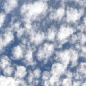 Meet your Posher, Itzel